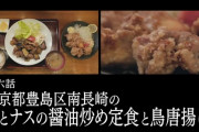 「孤独のグルメ Season9」6話感想(ナスの醤油炒め定食と鳥唐揚げ)まっとうな料理、人間らしい食事！追い冷やし中華で締めるゴローちゃん！！