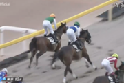 【競馬】納豆すげーわ