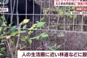 【有事相当】秋田クマ、市内に難民キャンプ作りチーム化「市街地では発砲してこない」「集団行動すれば安全」