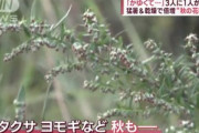 花粉やばいくらい飛んでね？鼻水くしゃみ止まらない