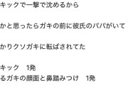 【悲報】女の子「彼氏が捕まったｗ 目の前にいるクソガキをハイキックで一撃！あたしの中では許してあげれる悪いこと」