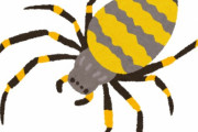 クモは益虫だから殺すな←