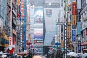 外国人「東京で滅多に降らない雪が降ってる！これは素敵だ」