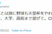 河野防衛大臣「野球も日シリとは別にプロ・アマ・高校問わず天皇杯やれや。CSより面白いと思うぞ」