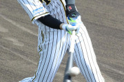 阪神井上「焦らずゆっくり」故障後初の屋外打撃練習
