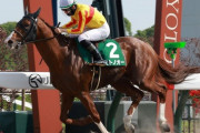 【平安S】ロゴタイプ産駒が初のJRA重賞制覇