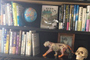 【画像】本棚晒すわ、これがインテリの棚だｗｗｗ
