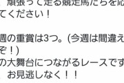 【競馬】今週の阪神競馬場公式ツイッターｗｗｗｗｗｗｗ