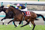 ●ジャパンカップ 8枠14番 マカヒキ 武豊