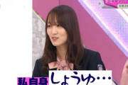就活面接を見学した櫻坂46菅井友香、第一志望は醤油会社【そこ曲がったら、櫻坂？】