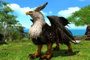 【FF14】6.3で無人島開拓のアップデートが実施決定！新たな動物や建築物に加えてUIの利便性向上も！