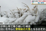 【画像】明日の日本列島、雪で逝きそう