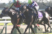【競馬】皐月賞に勝つのが最も速い馬、ダービー勝つのが最も運がある馬、菊花賞勝つのが最も強い馬←これ