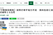 【キーウ発緊急報告】深刻さ増す電力不足 食料生産に深い爪痕 ロシアの侵攻10カ月 魚介類、冷凍食品生産、食肉処理、現金商売ダメ