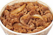 すき家の牛丼がたまーに食べたくなる病