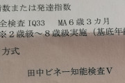【画像】発達障害俺、精神年齢が「11歳」と診断される…
