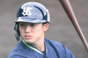 長岡秀樹(20).257 7本 38打点 OPS.656 遊撃手UZR7.4