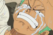 【ONEPIECE -ワンピース】ルフィ「なぁゾロ、お前旅が終わったら何をやるんだ？」