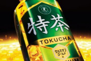 【疑問】特茶って痩せる？