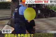 【動画】台湾美女、東京観光中に痴漢男からお尻を何度も触られブチギレ！股間を蹴り上げて悶絶