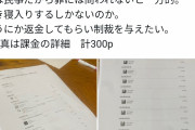 【悲報】31歳チー牛、祖母のお金4000万円を勝手に謎のゲームに課金「民事だから罪にはならんギュウ」
