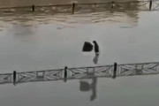 【動画】中国の女さん「うわ！水たまりで足が濡れちゃう...せや！」