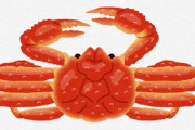 【蟹】アラスカでズワイガニ「100億匹がいなくなった」　史上初めての“禁漁”に　原因は「海洋熱波」か？