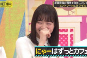 【元乃木坂46】西野七瀬の呼び名が「にゃー」になったのかようやく明らかになった！
