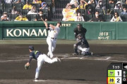 【阪神対ヤクルト20回戦】阪神・ボーア、ヤクルト小川から第１７号２ランホームラン！！！！！！！！！！！