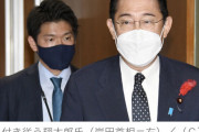 キッシーが自分のお坊ちゃま（31）を首相秘書官に起用人事したけど、どう思う？