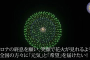 【悲報】新型コロナ収束を願う花火で山火事が発生してしまう