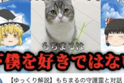 【悲報】YouTube『もちまる日記』が炎上 もちまる病気になり新たな猫の登場で 「次を用意してるのか」