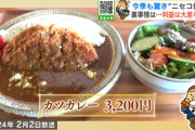 【悲報】カツカレー3000円　焼きそば3000円　味噌ラーメン3000円