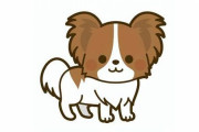 犬の敏捷性を競う大会で最速を記録したワンちゃんがめちゃくちゃ早い
