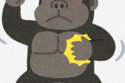 ゴリラ、優勝するｗｗｗｗｗ