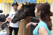 歴代最強日本馬はイクイノックスだけど