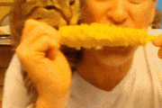 【ねこ画像】とうもろこしたべる、専用で用意したのに・・・・ ほか【再】