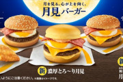 【速報】マクドナルド、全てを過去にする新作激ウマバーガー本日より発売中