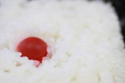 旦那の今の勤務先にろくなお店がないということで同僚の妹が弁当用意してそれを食べているんだそうです　恥ずかしいです