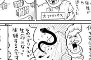 【動物】なんだよこの漫画ｗｗｗ【注意】