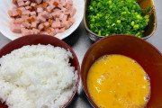 【画像】チャーハンを作ってみようと重みます【チャレンジ】