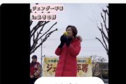 【！？】れいわ参院政策委「世界から日本社会は『DV加害者養成学校』と呼ばれています！」→ツッコミ殺到（街宣動画）