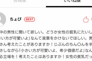 【画像】女性の貧乳に対するこのコメントが真理をついてると話題に