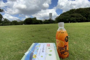 今から公園で“最高級弁当”食うぞｗｗｗ（※画像あり）