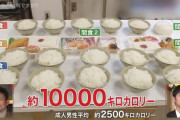 【衝撃】大谷翔平くん(16)の食事量wwwwwwwwwwwww