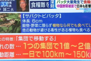 【飛蝗】砂嵐かと思ったら…空を覆うバッタの大群！　サウジの空をおおうバッタ　インド洋沿岸諸国で甚大被害　（動画あり）