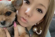 【虐待疑惑】倖田來未さん、犬のオモチャをブン投げ炎上 →動画