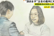 【画像】頂き女子りりちゃんの法廷画、画風の振れ幅がすごいｗｗｗ
