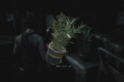 バイオハザードで所々にハーブ植えてくれてる人ｗｗｗｗ