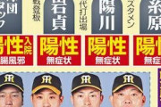 阪神タイガース、もうめちゃくちゃ